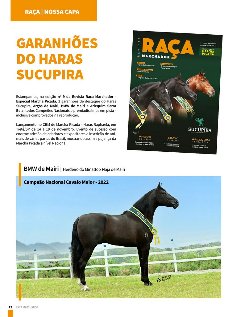 GARANHÕES DO HARAS SUCUPIRA