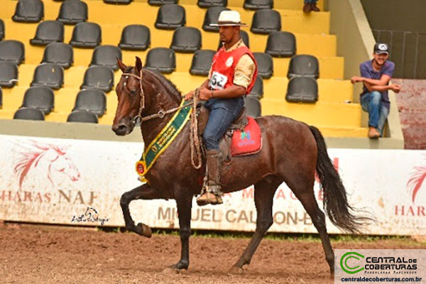 IRAQUE DA ÁGUA BÔA