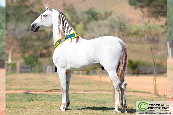 ELDORADO DA BOA TERRA