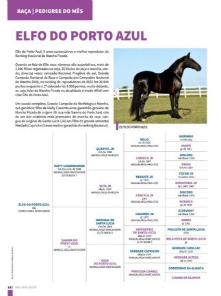 ELFO DO PORTO AZUL