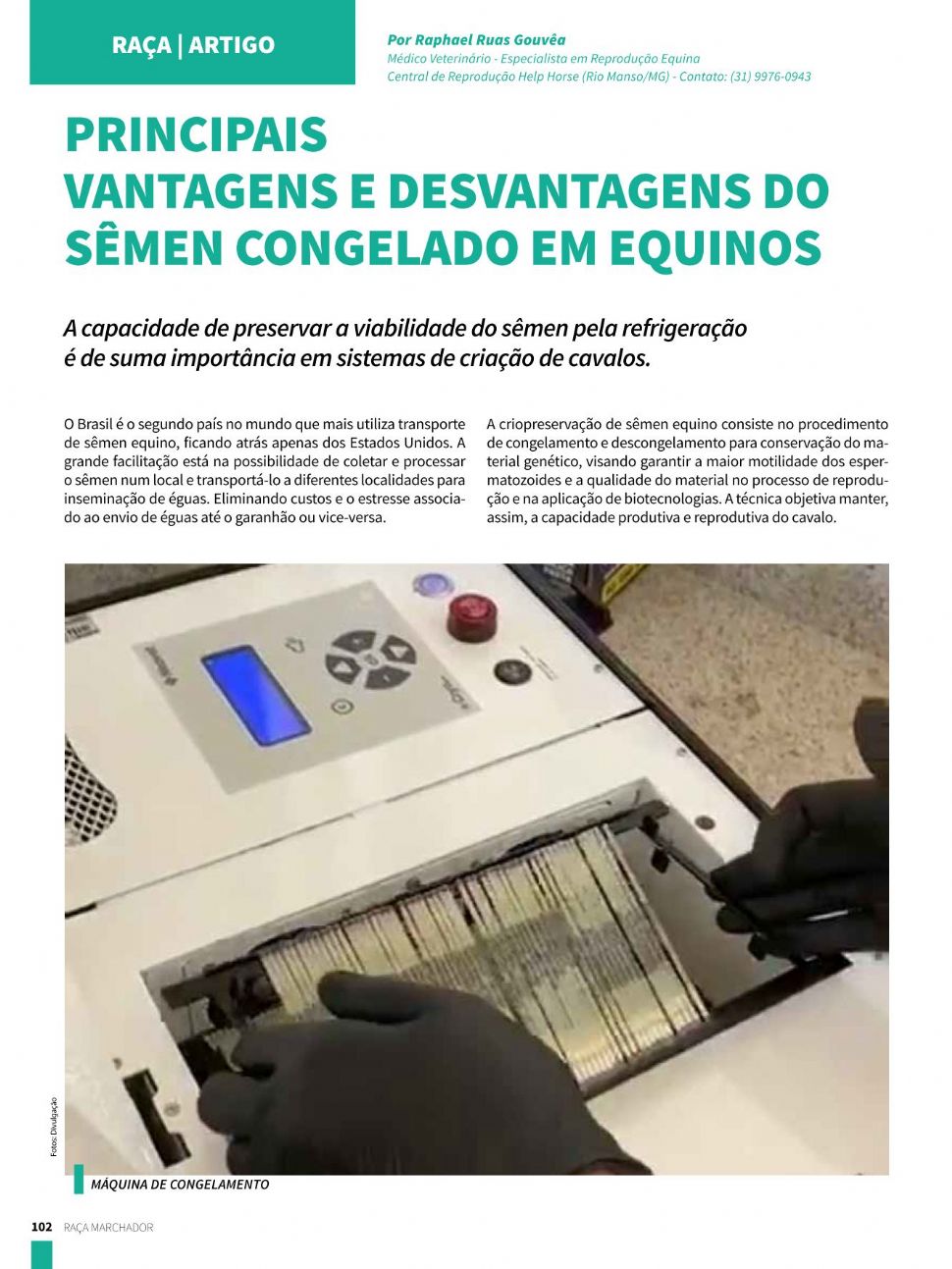 PRINCIPAIS VANTAGENS E DESVANTAGENS DO SÊMEN CONGELADO EM EQUINOS