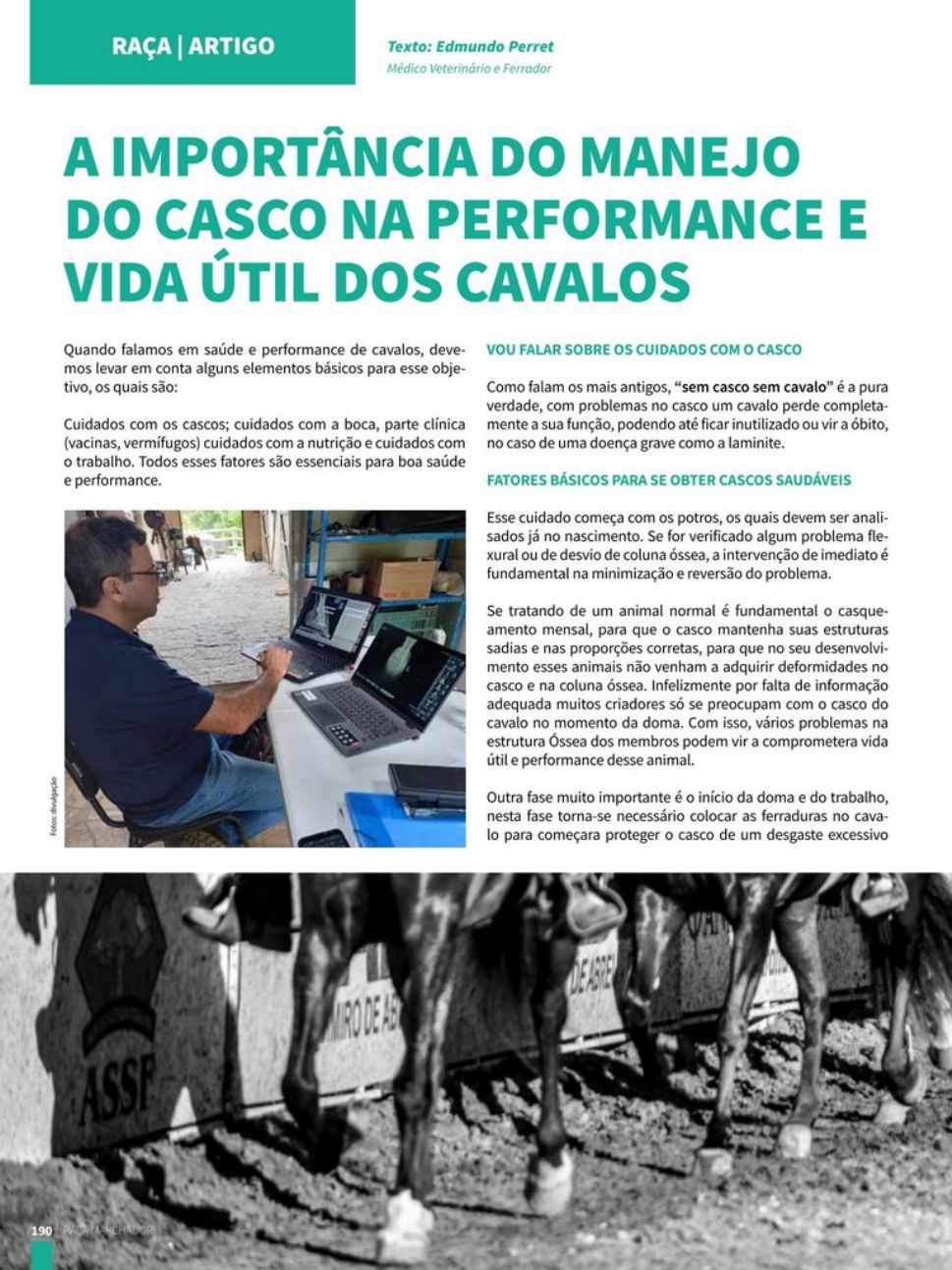 A IMPORTÂNCIA DO MANEJO DO CASCO NA PERFORMANCE E VIDA ÚTIL DOS CAVALOS