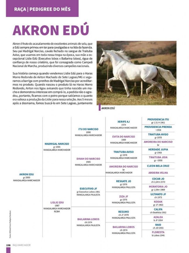 AKRON EDÚ