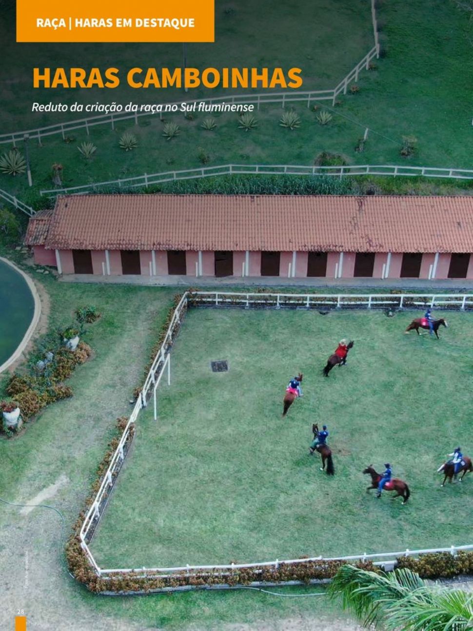 HARAS CAMBOINHAS - Reduto da criação da raça no Sul fluminense