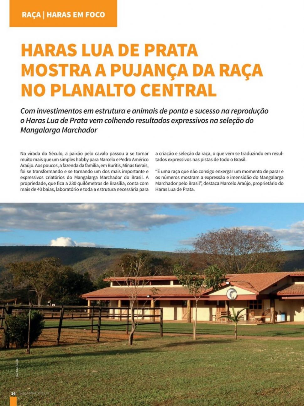 Haras Lua de Prata mostra a pujança da raça no Planalto Central