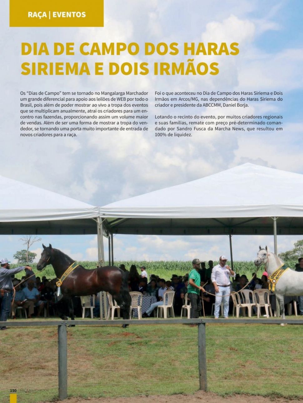 Dia de Campo dos Haras Siriema e Dois Irmãos