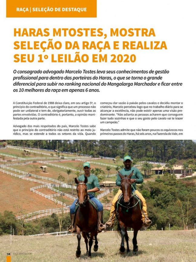 Haras Mtostes, mostra seleção da raça e realiza seu 1º Leilão em 2020.