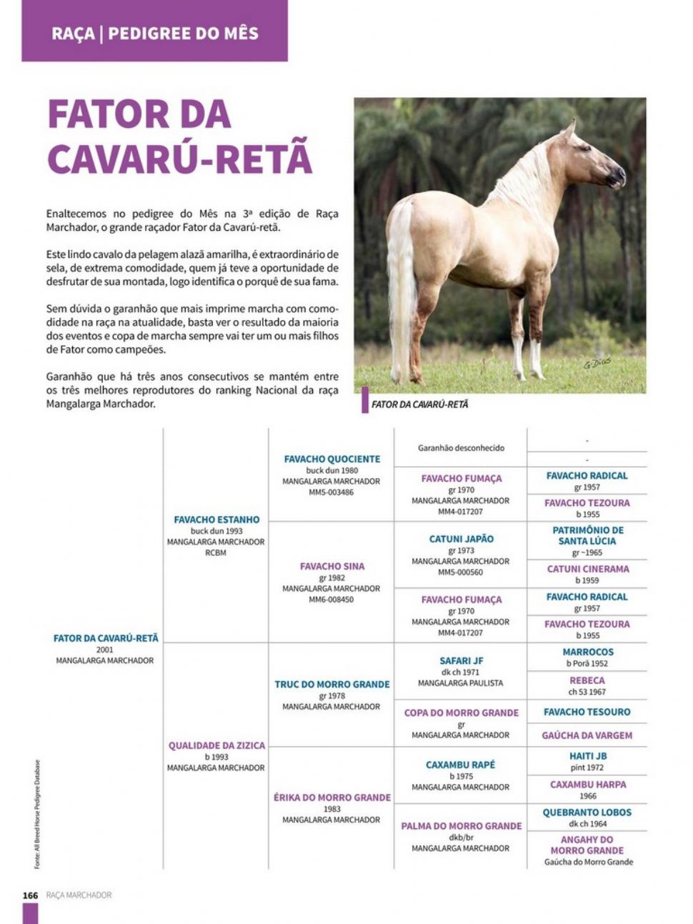  Fator da Cavarú-retã