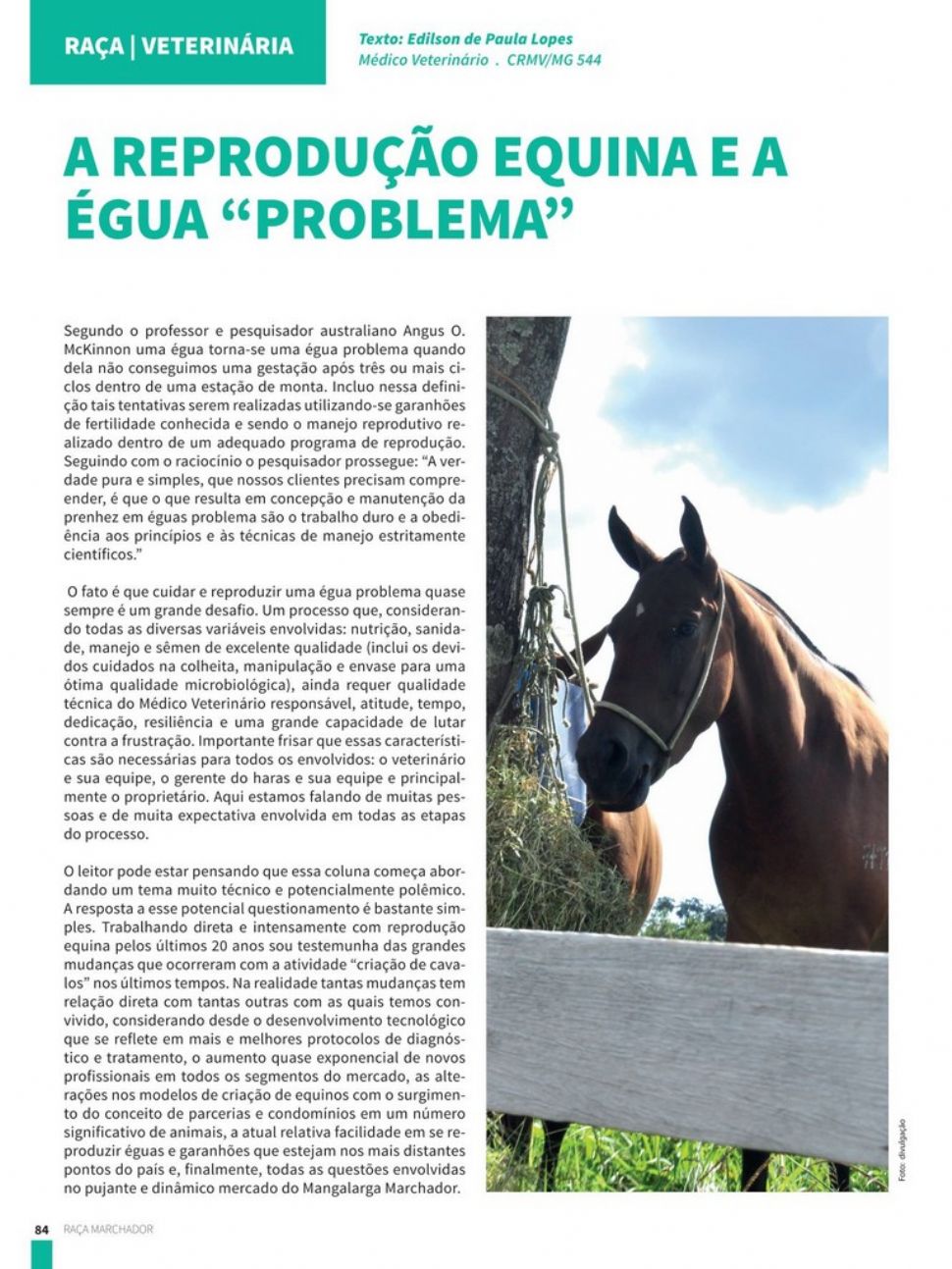 A REPRODUÇÃO EQUINA E A ÉGUA “PROBLEMA”