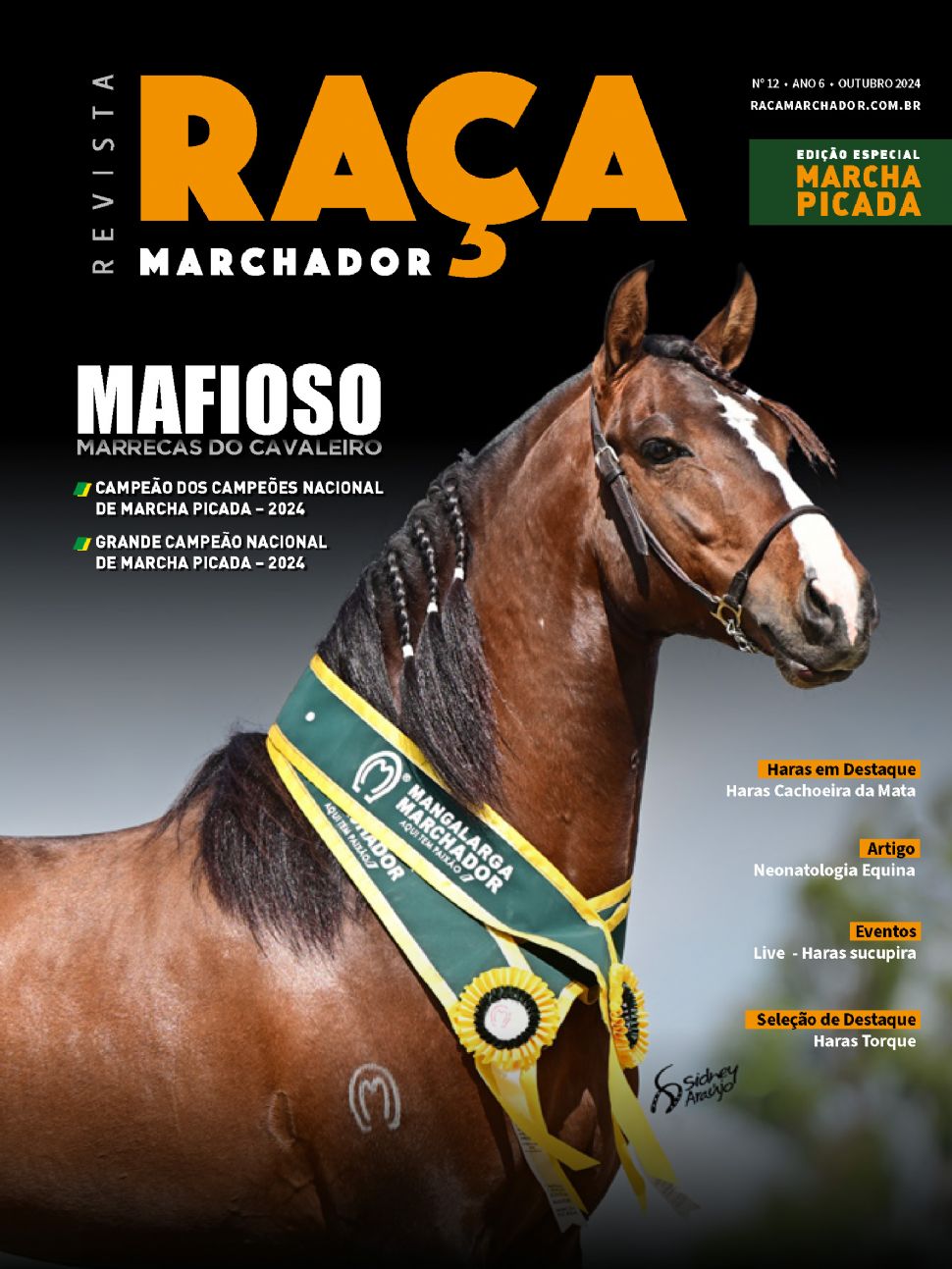 Raça Marchador Edição 12