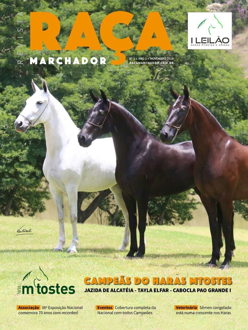 Capa da edição Nº 03: Campeãs do Haras Mtostes