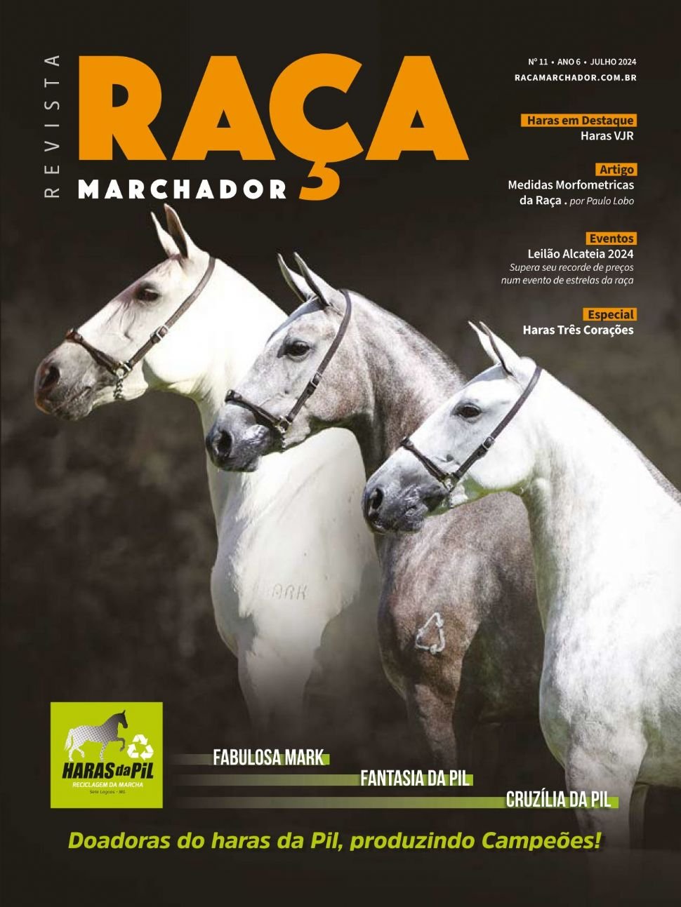 Capa da edição Nº 11: Doadoras do Haras da Pil, produzindo campeões