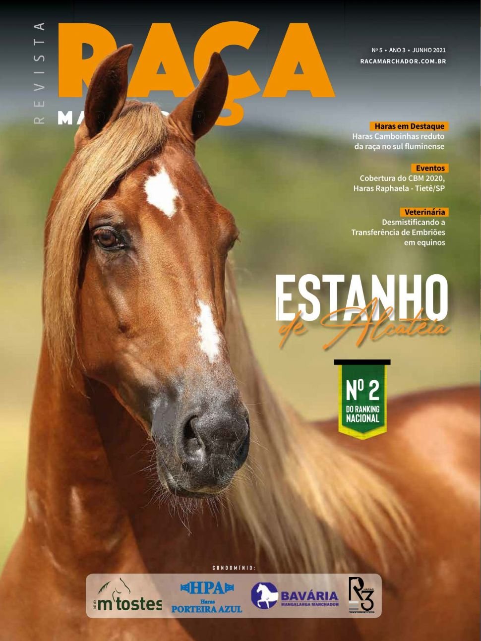 Capa da edição Nº 05: Estanho de Alcatéia, nº 2 do ranking nacional